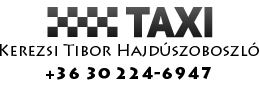 Kerezsi Taxi Logo